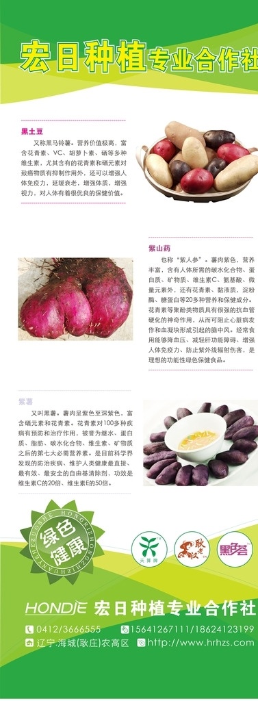 绿色食品 易拉宝 蘑菇展架 田园 促销 农业展架 分层