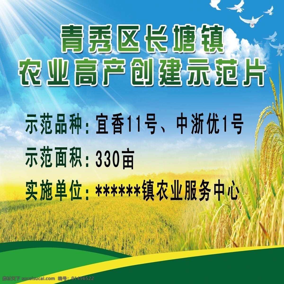 农业 高产 创建 示范片 示范基地 水稻 田野 蓝天 阳光 光线 鸽子 基地 农林水 展板 分层 源文件