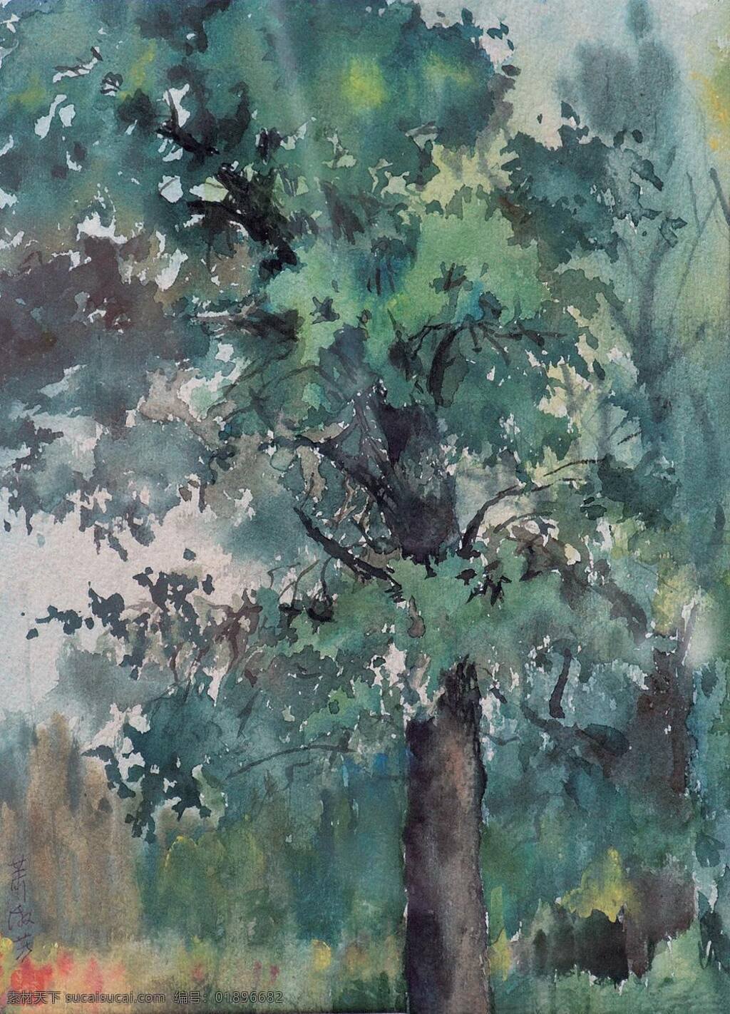 植物 水彩 插画 水彩插画 文化艺术 树木水彩画 植物水彩画