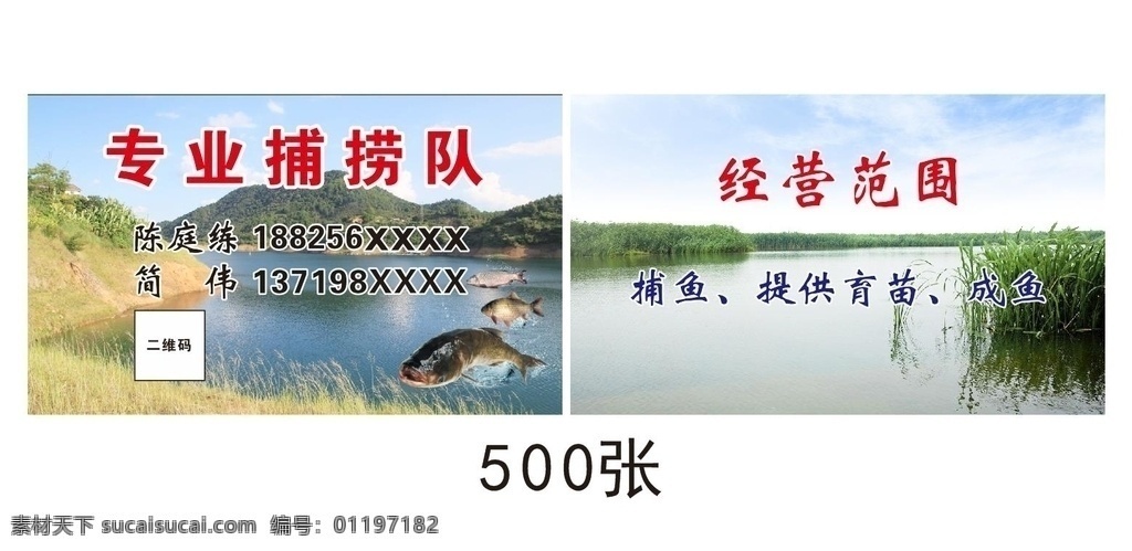 鱼名片设计 鱼名片 矢量 名片卡片 杂鱼 鱼卡片 鱼档 育苗批发 鱼塘 捕鱼队 渔船 渔家 渔民