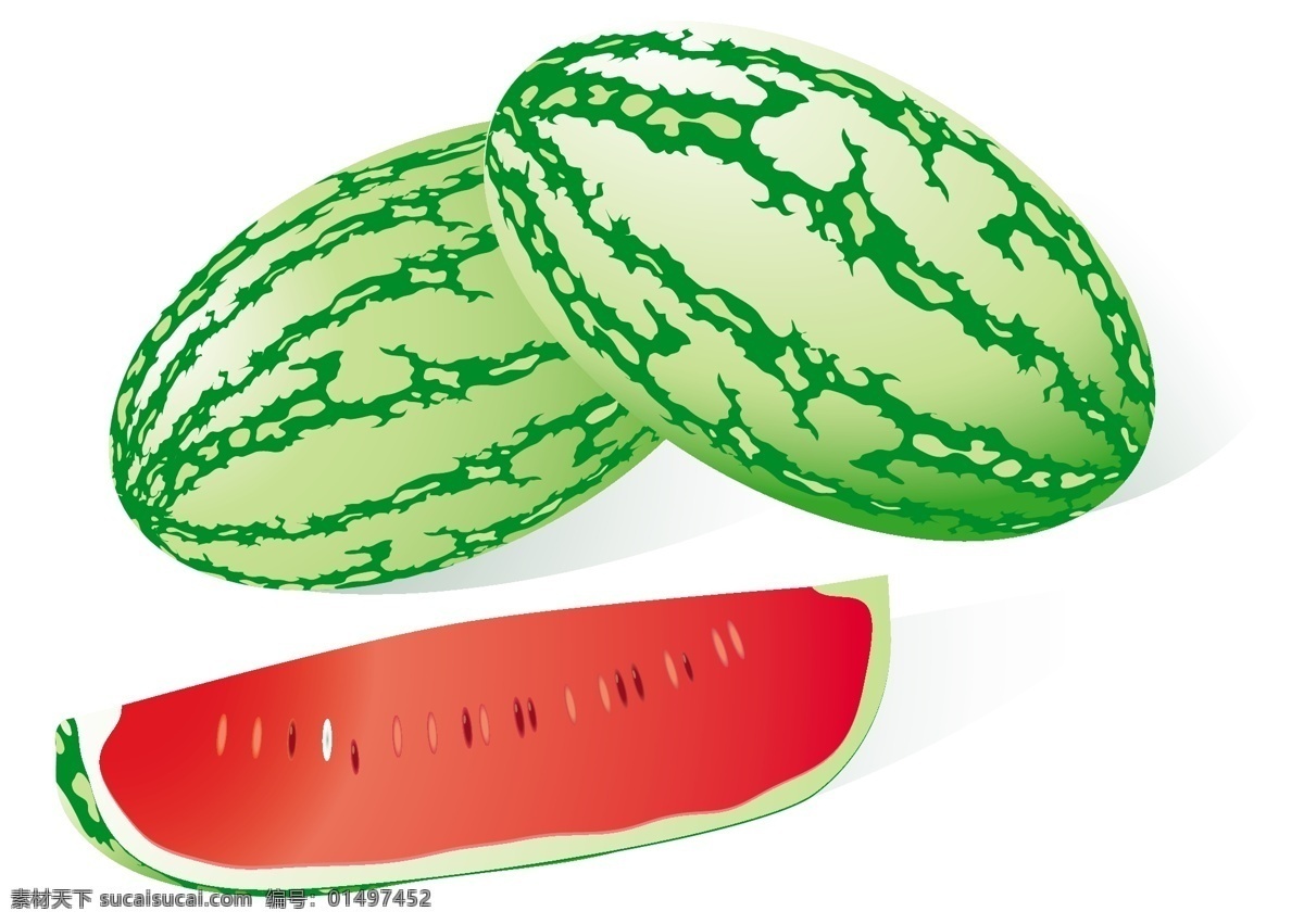 矢量 插画 西瓜 白色
