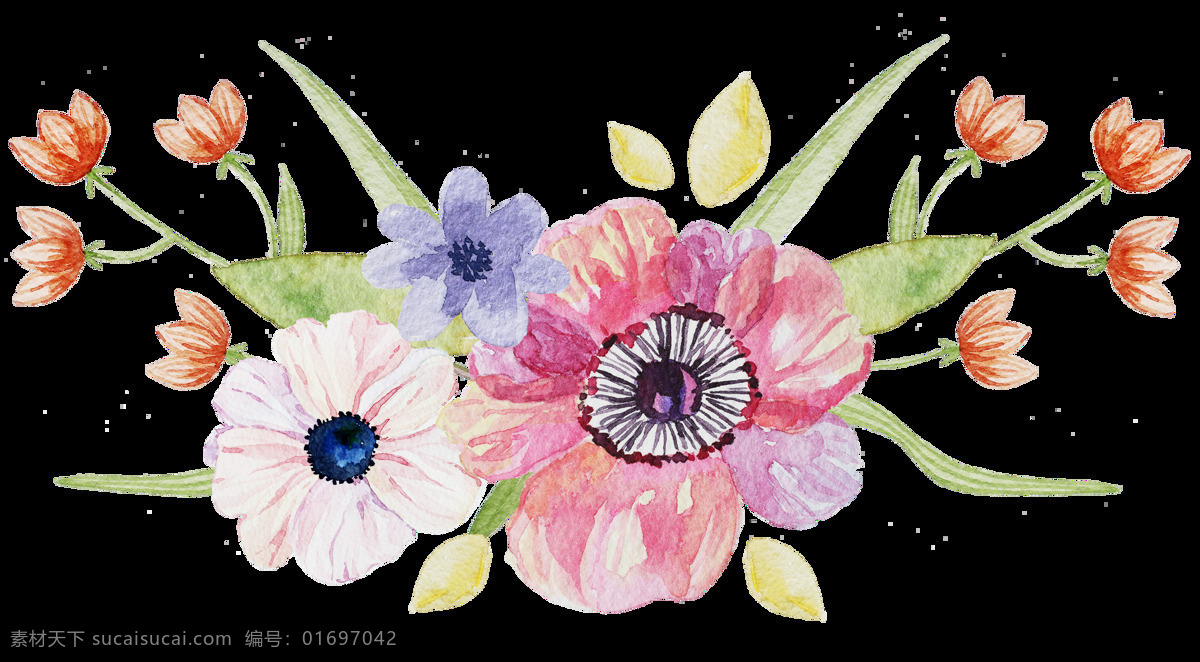 水彩植物 水彩花卉 彩色植物 卡通植物 清新植物 可爱植物 手绘植物 水彩风 清新 插图