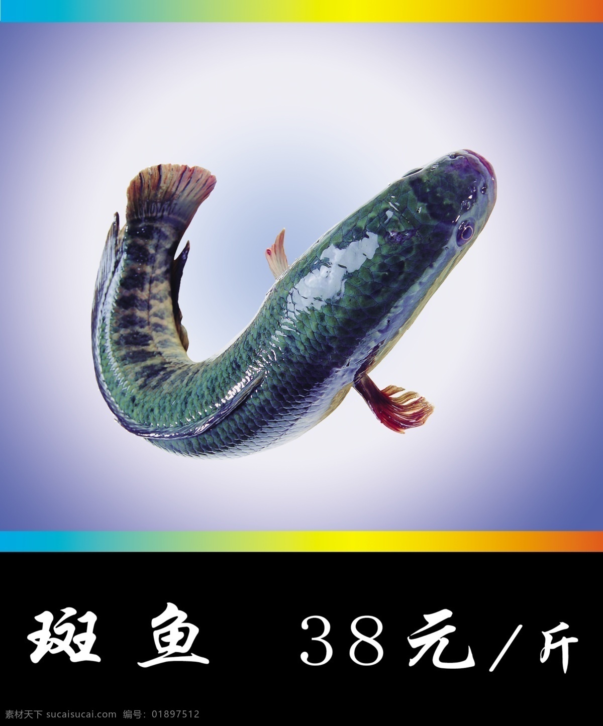 斑鱼 饭店斑鱼 斑鱼样板 斑鱼价格 斑鱼展板 国内广告设计 广告设计模板 源文件