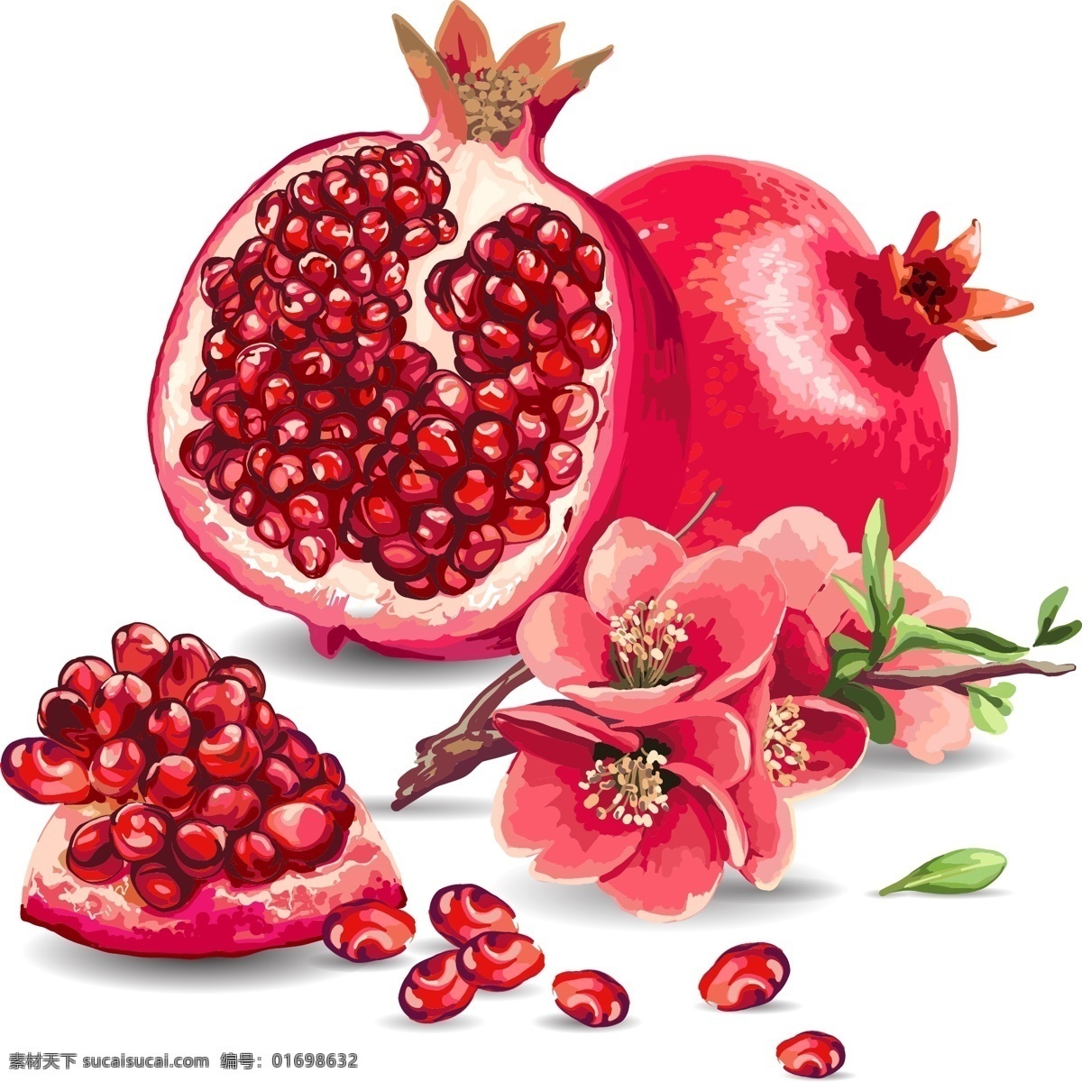 水彩水果石榴 水彩绘画 水果 食物 石榴 红色 背景 创意图案
