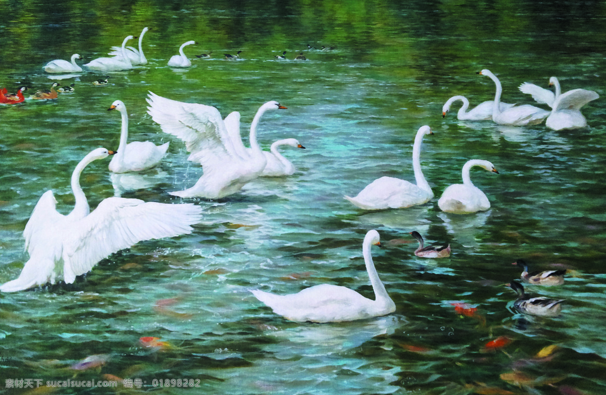 天鹅湖歌 美术 油画 动物画 白天鹅 天鹅群 湖水 油画作品81 文化艺术 绘画书法
