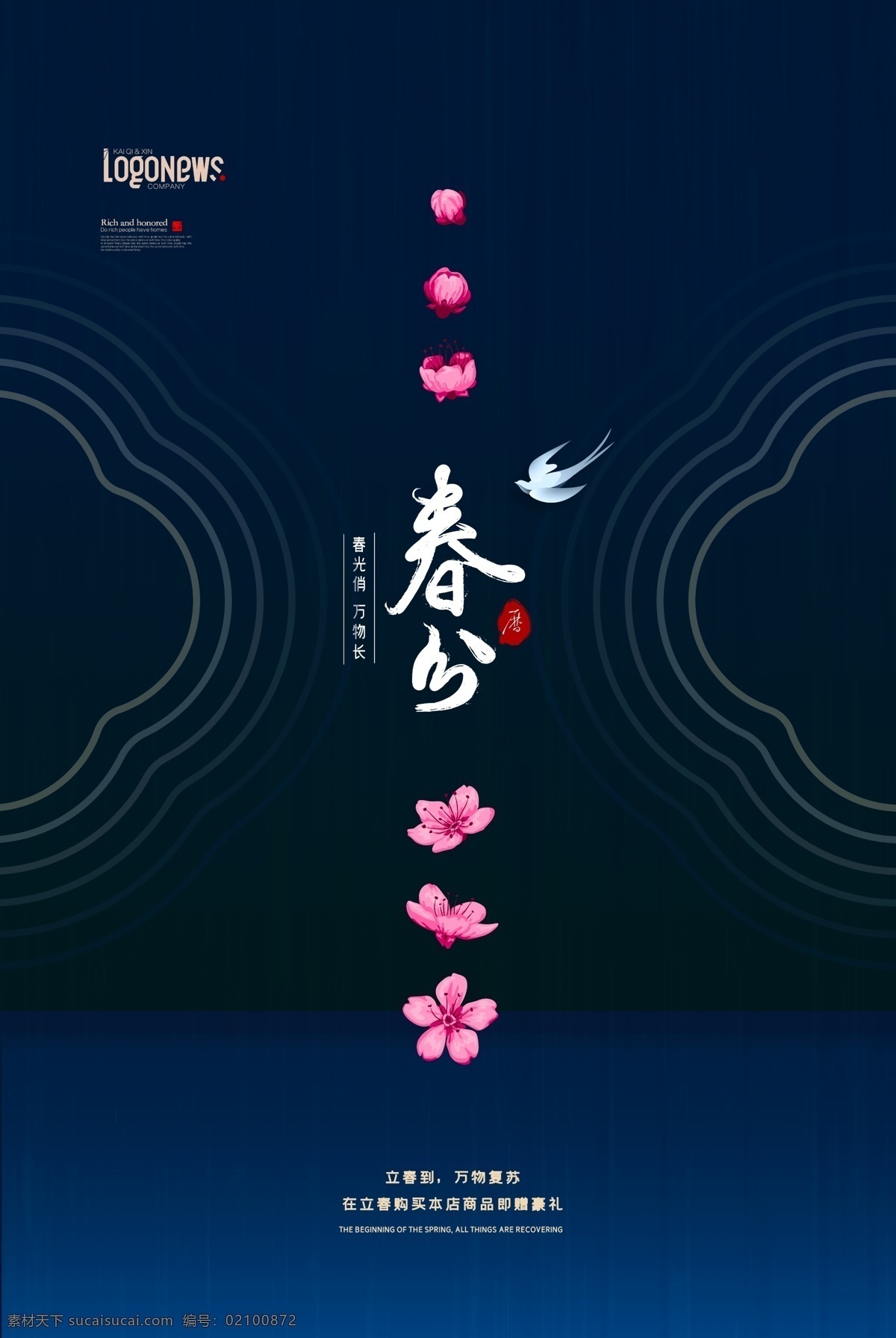 春分 节气 樱花 春天 节气海报