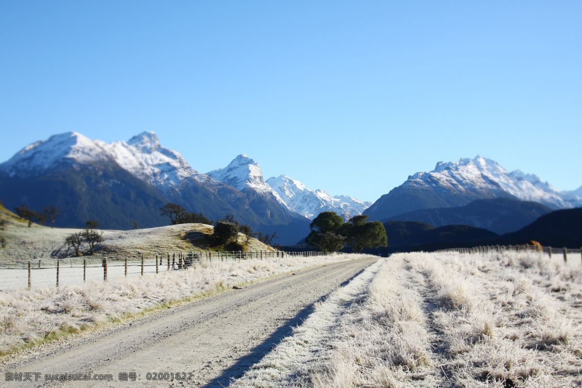 新西兰风景 新西兰 天堂之路 风景 实拍 路面 雪山 冰草 牧场 国外旅游 旅游摄影