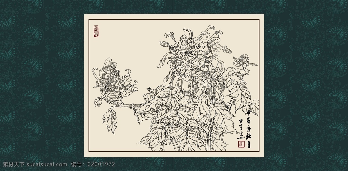 绘画 白描 线描 手绘 国画 轮廓 印章 书法 装裱 植物 花卉 花草 花鸟 工笔 写实 写生 毛笔画 昆虫 白描菊花 文化艺术 绘画书法