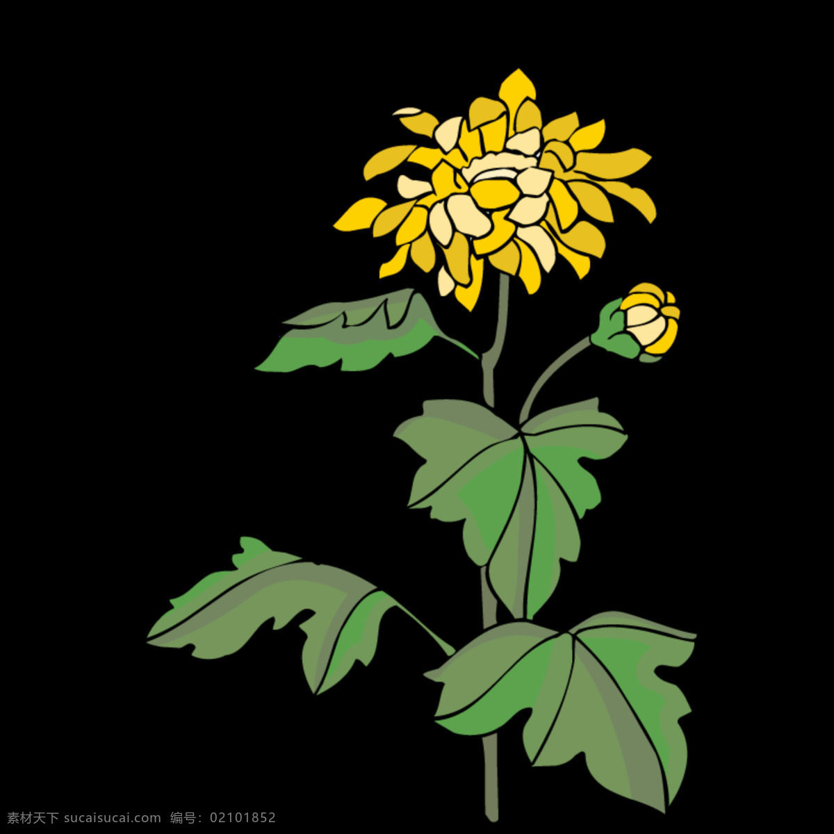 清新 粉 黄色 手绘 菊花 装饰 元素 绿叶 植物 装饰元素