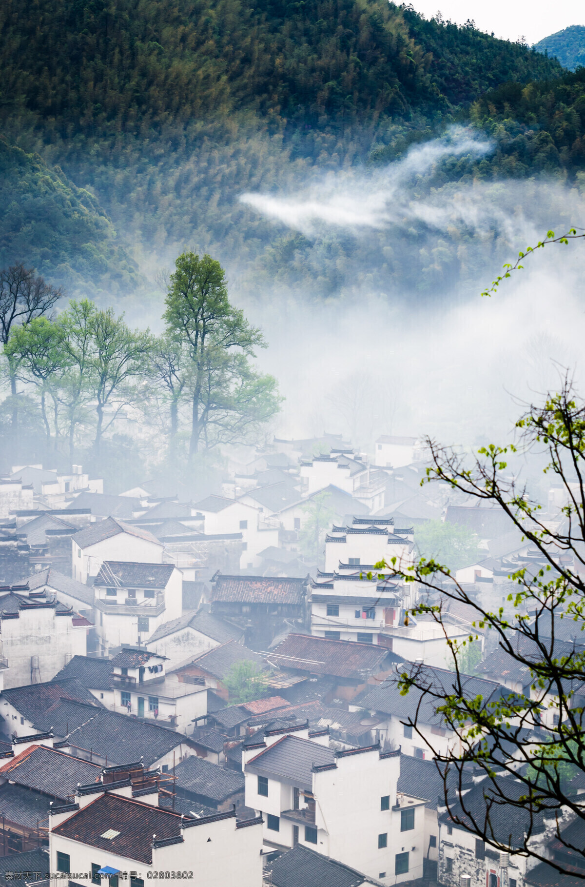 婺源风光 婺源风景 群山 乡村自然风光 婺源 油菜花 婺源摄影 婺源游记 江西婺源 乡村摄影 古镇 小镇 乡村 大树 田野 田地 田园风光 徽州 风景 江西风景 婺源油菜花 自然景观 风景名胜