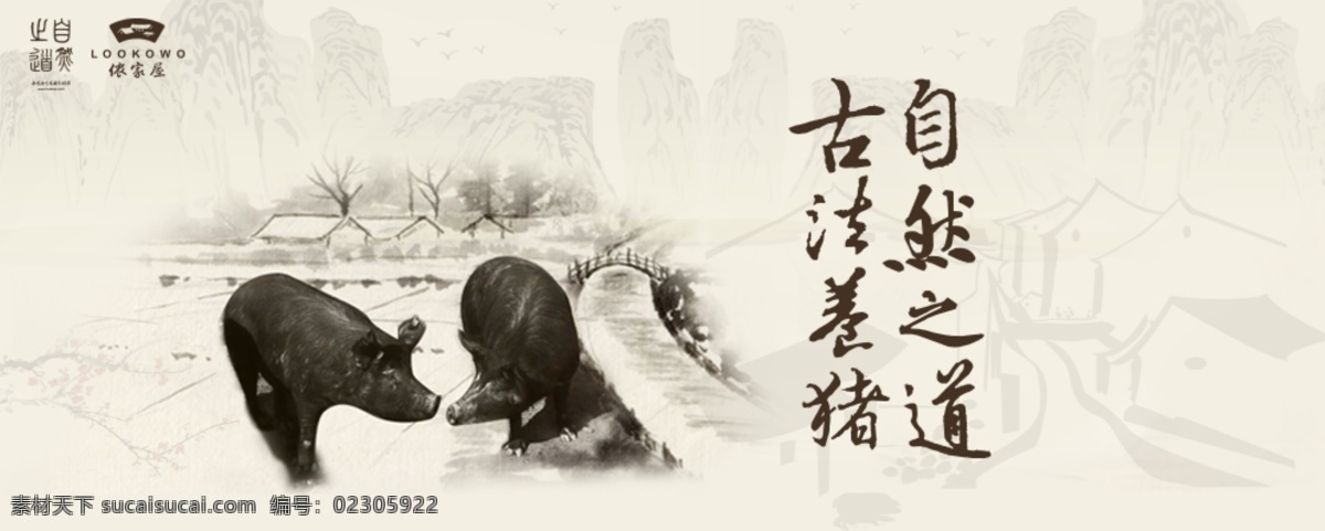 黑 猪肉 高清 图 健康 健康食品 黑猪肉 野生黑猪肉 原创设计 原创淘宝设计