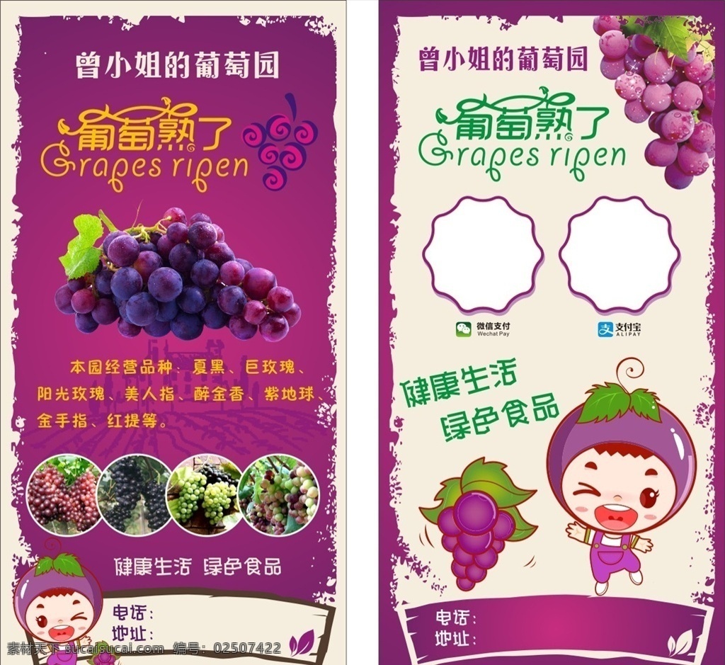 葡萄熟了 卡通葡萄 宣传单 矢量葡萄 葡萄园 dm宣传单