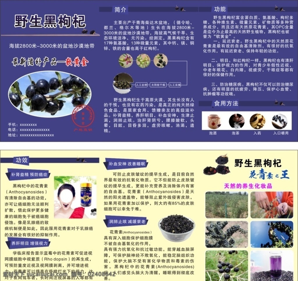植物介绍 花草介绍 水生物介绍 植物生长要求 花草 生物世界 清新底色 珍稀植物介绍 展板设计 植物知识画廊 睡莲介绍 植物 水生植物 知识画廊 风景 美图 古 莲花 展板模板 铁树 铁树开花 铁树结果 植物牌 树种说明书 植物属性牌 植物习性牌 树目科简介牌 树牌 花牌 铁树图片 植物科普知识