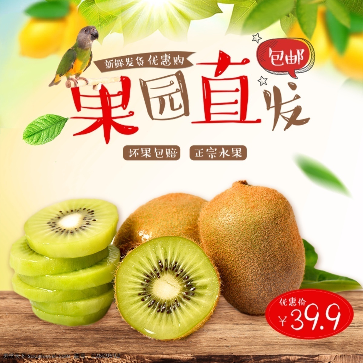 猕猴桃 主 图 水果 绿色食品 小鸟 木板 树叶 阳光 猕猴桃主图 果园直发 水果主图
