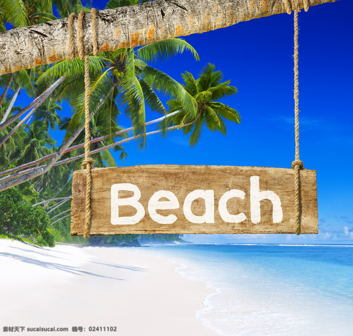 海边 旅游景点 美景 大海 海浪 沙滩 蓝天 树 椰子树 beach 树干 大海图片 风景图片