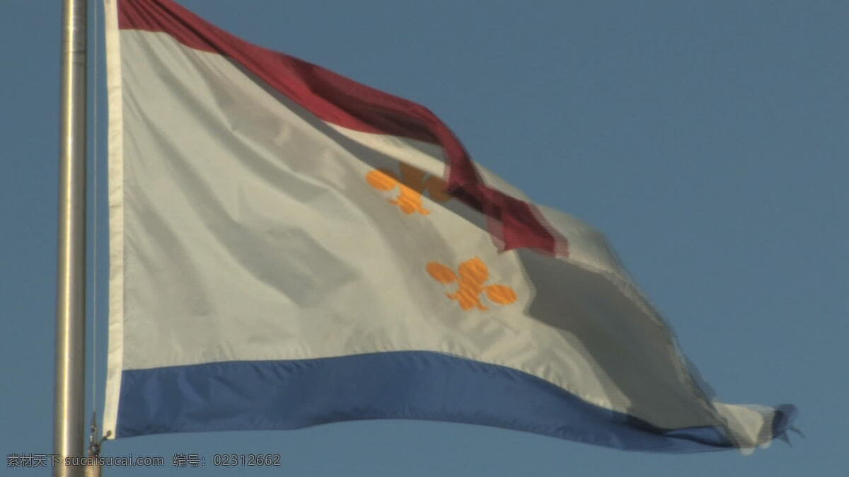 新奥尔良 鸢尾 旗 股票 视频 视频免费下载 新 奥尔良 芙蓉 德 lis 国旗 avi 灰色