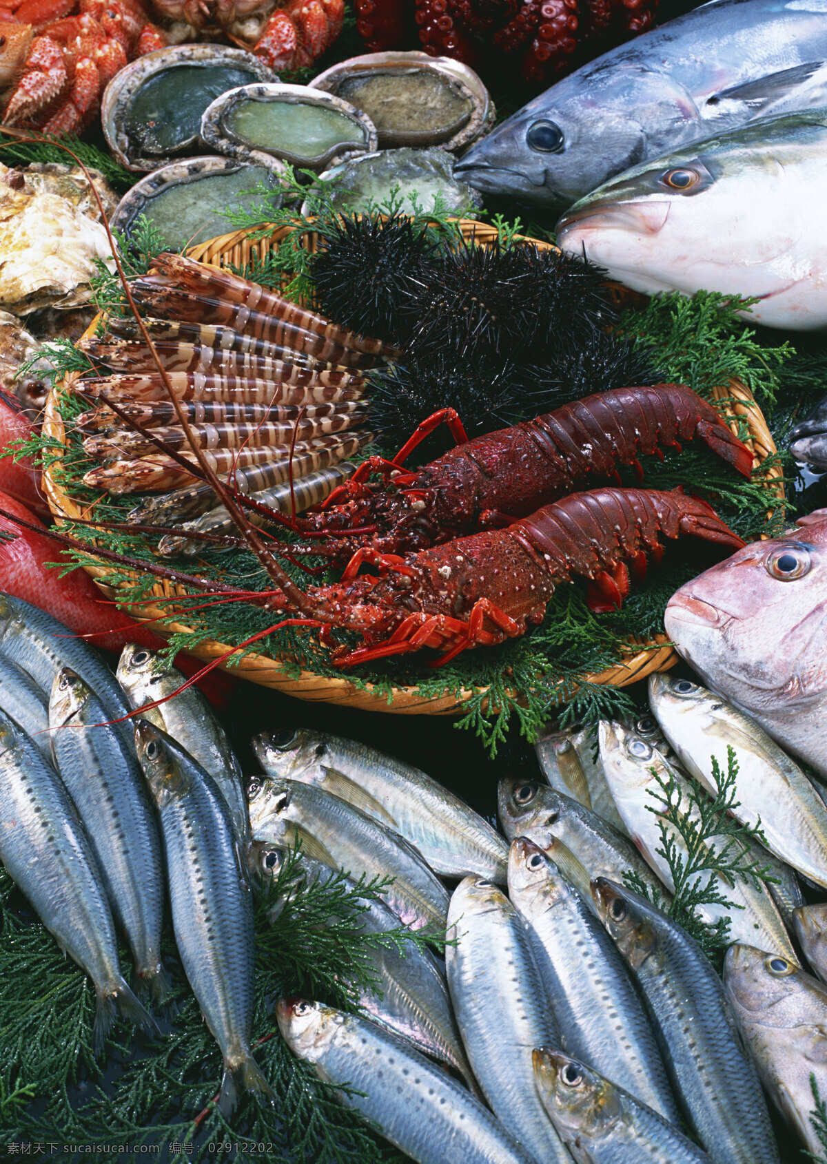 新鲜 鱼虾 贝 蟹类 水 生物 海产品 水产品 鲜鱼 海鱼 海鲜 海参 辽参 海鲜市场 热带鱼 深海鱼 水产养殖 海洋生物 海鲜超市 生猛海鲜 海产 水产 海产干货 海货 大虾 对虾 皮皮虾 鲍鱼 虾皮 海米 虾米 熟虾 明虾 鱿鱼 干鱿鱼 鳊鱼 罗非鱼 鱼丸 黄骨鱼 黄鱼 海蟹 螃蟹 大闸蟹 贝类 龙虾 山珍海味 美味珍馐 美食素材 餐饮美食 食物原料