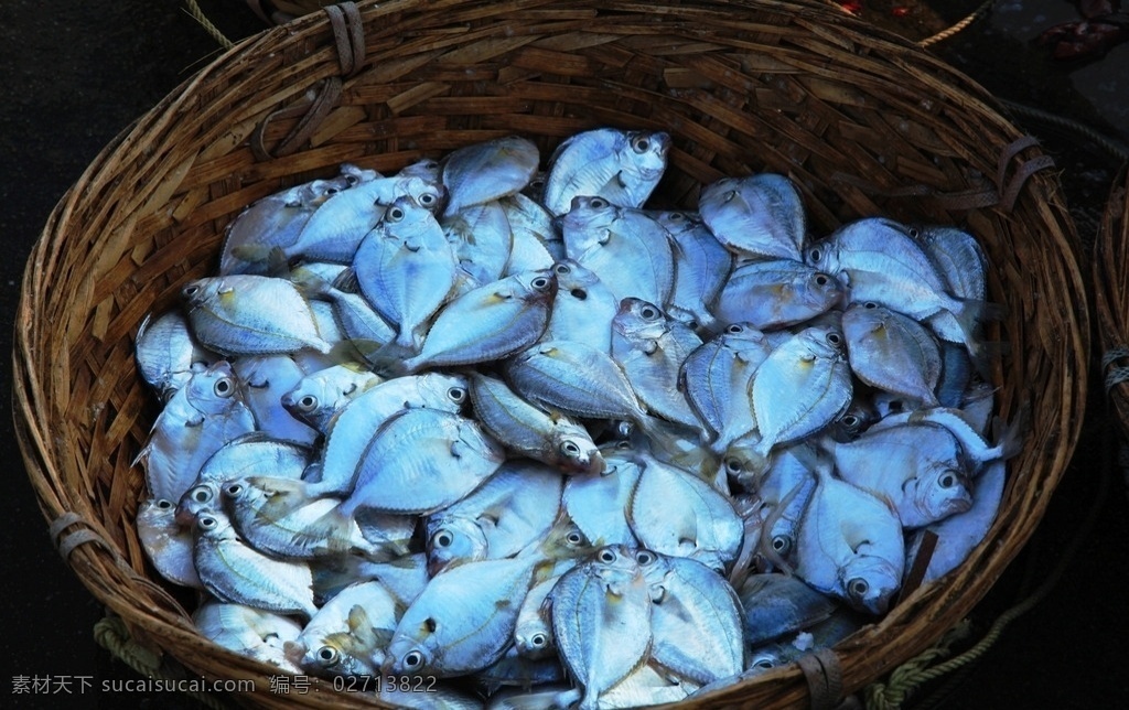 农贸市场 海鲜市场 海鲜 鱼类 食物 海鱼 卖鱼 海产 水产品 生物世界
