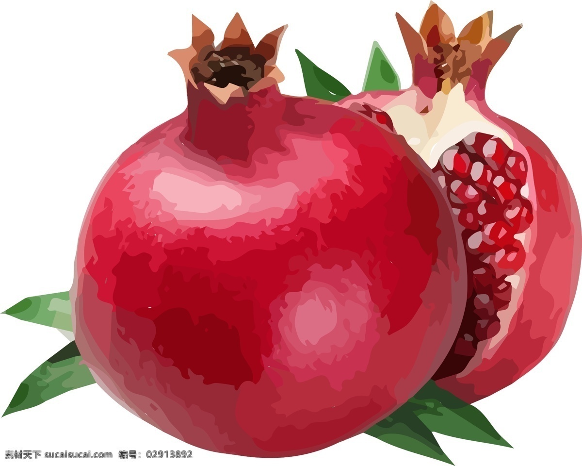 插画 手绘 红色 石榴 矢量 图案 ai矢量 红色石榴 水果素材 水果元素