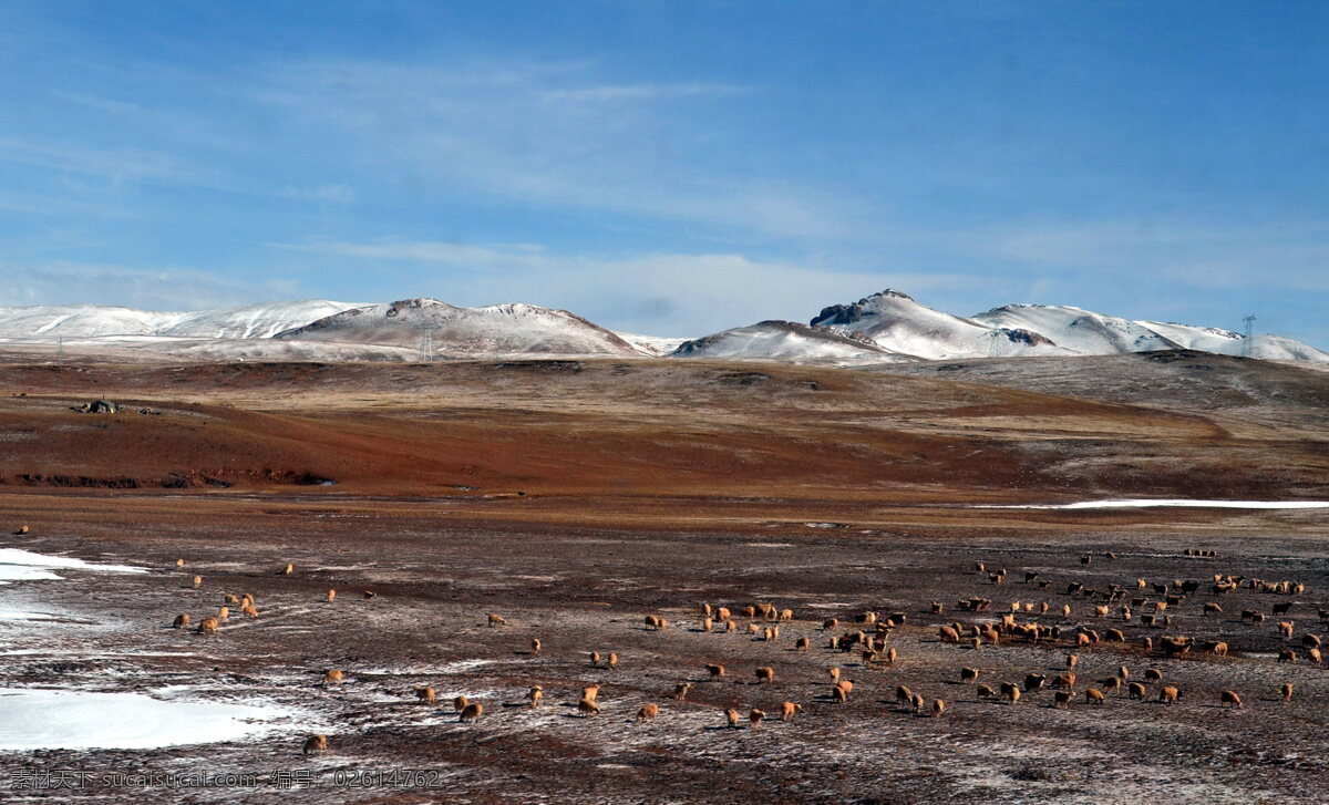 青藏高原 青藏铁路 沿线 风光 天路 牧场 高原风光 自然风景 旅游摄影 蓝色