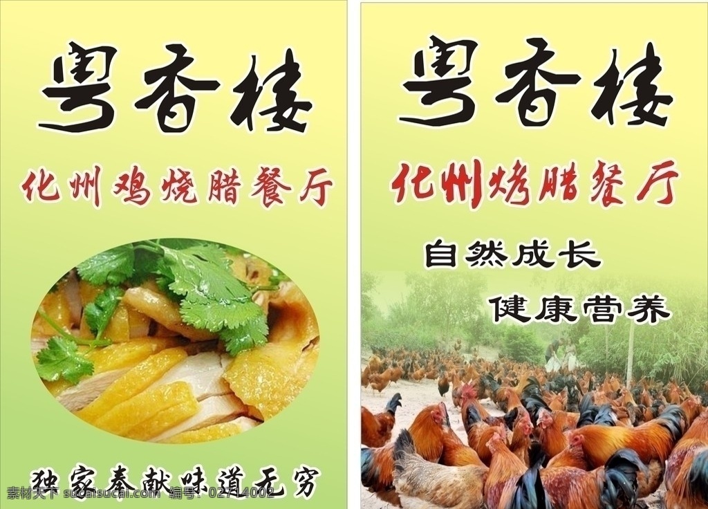 化州鸡 白切鸡 鸡 一群鸡 公鸡 餐厅 餐饮美食 生活百科 矢量