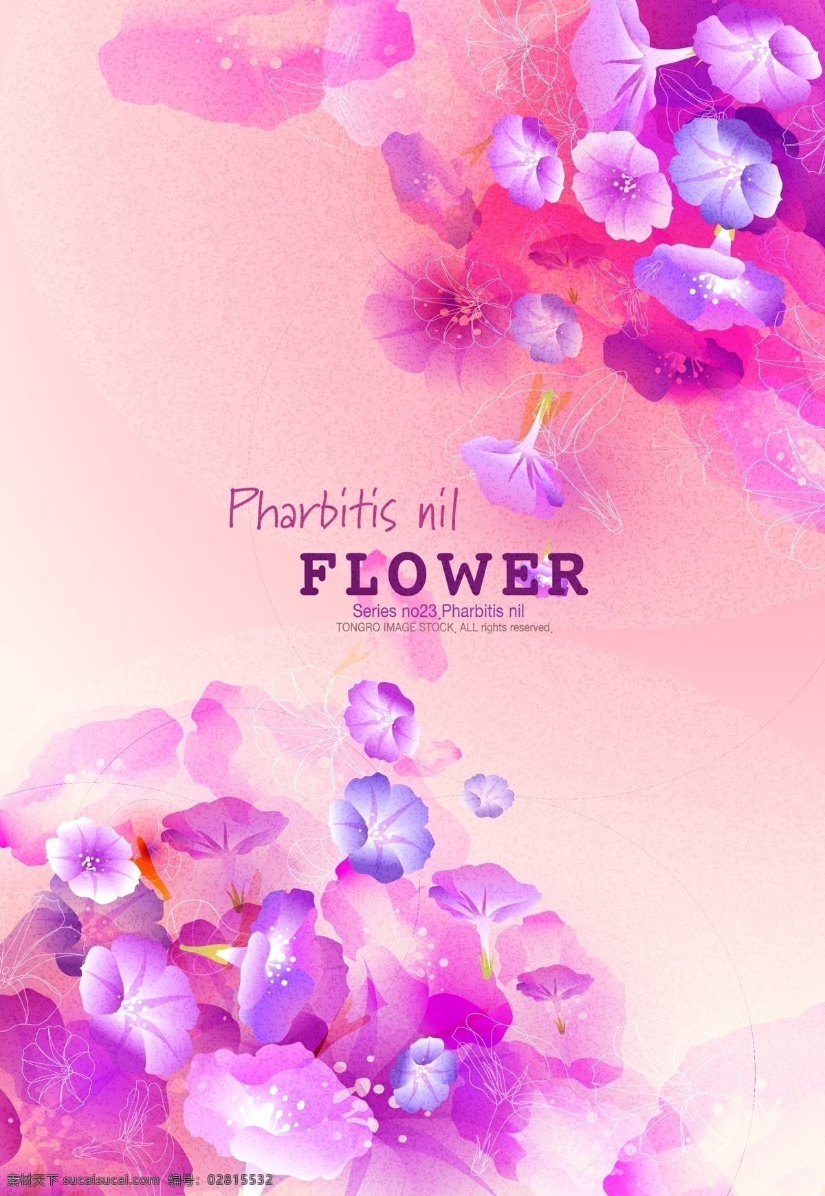矢量 粉色 花卉 装饰 背景 矢量粉色花卉 花卉装饰 花卉背景