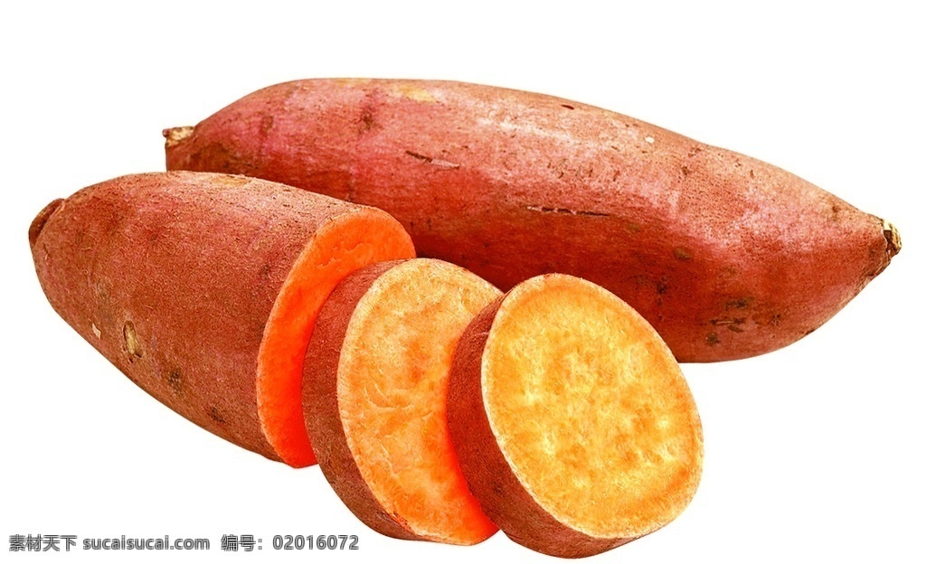 红薯图片 红薯 番薯 板栗红薯 小香薯 地瓜