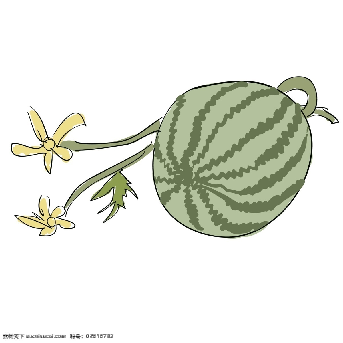 圆圆 大 西瓜 免 抠 图 红色大西瓜 新鲜多汁 花朵 绿色的果实 美味爽口 圆圆的大西 瓜免抠图