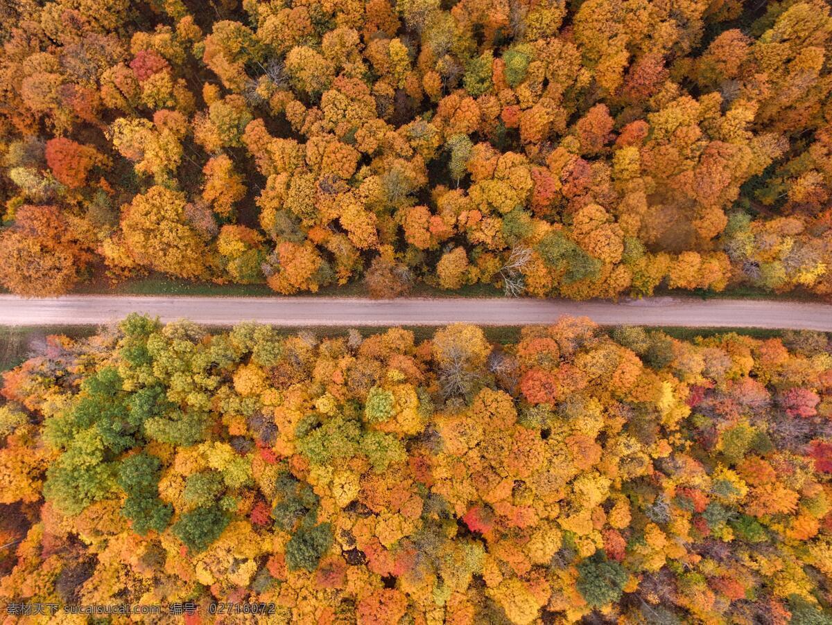 航拍 林间 公路 风景 俯视 森林 秋天 自然景观 自然风景