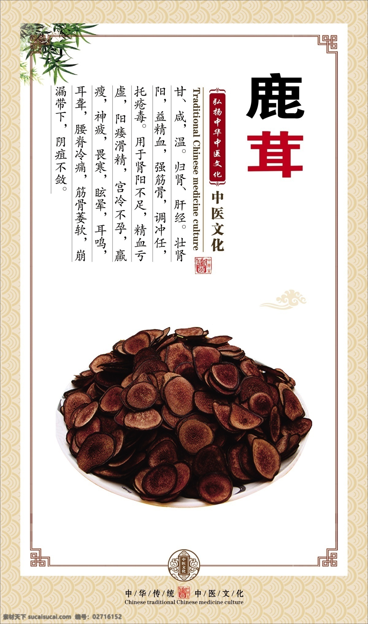 鹿耳 中医 草药 中药 知识 挂图 宣传 展板 贴画