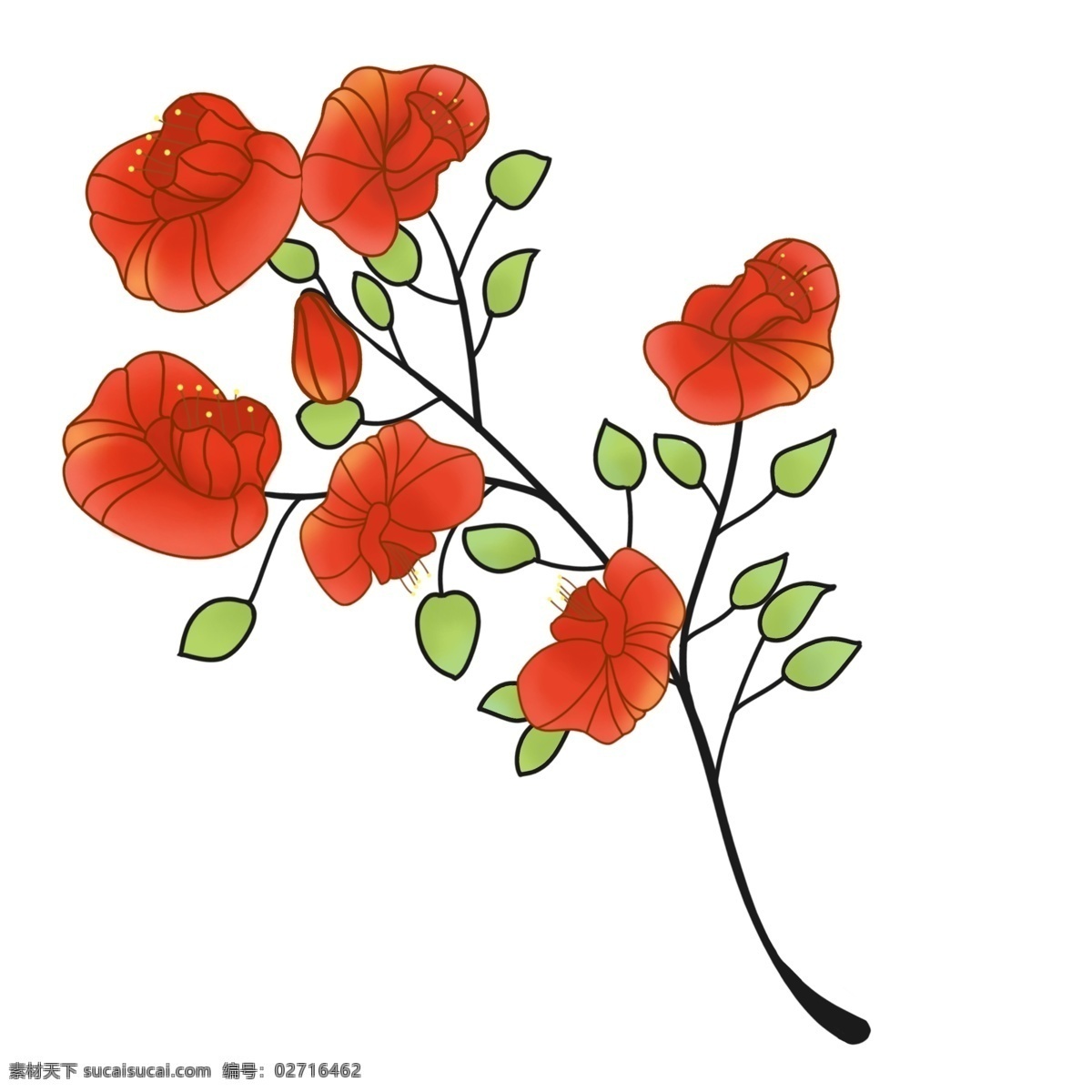 枝 红色 鲜花 插画 商用 花朵 花蕊 分叉 植物 花瓣