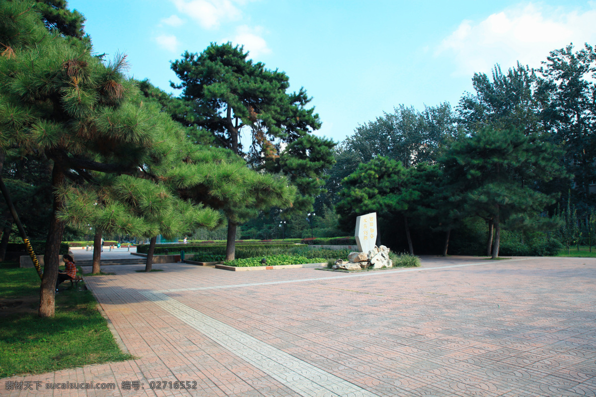 花园 大学校园 大学花园 中心花园 大学景观 景观 大学 北京理工大学 景观绿化 建筑景观 自然景观