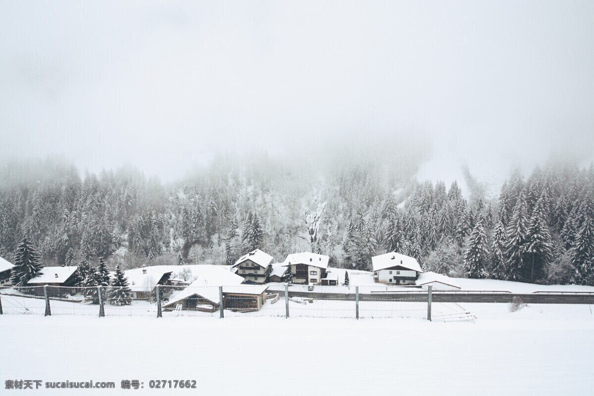 下雪天的森林 下雪天的 森林 树林 村落 白雪皑皑 风景 自然景观 自然风景