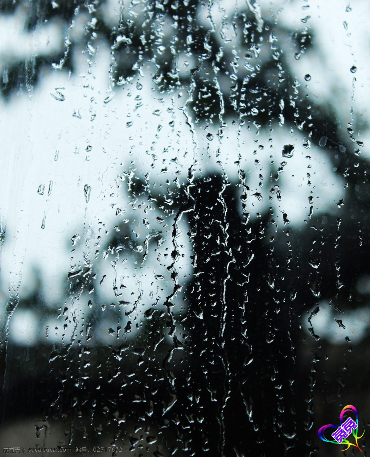 冷雨 雨滴 下雨 窗外雨 玻璃雨 树 自然风景 自然景观
