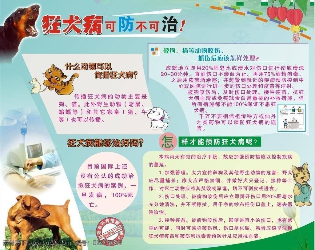 预防 健康 生活百科 医疗保健 预防狗咬 狂犬病 矢量 海报 其他海报设计