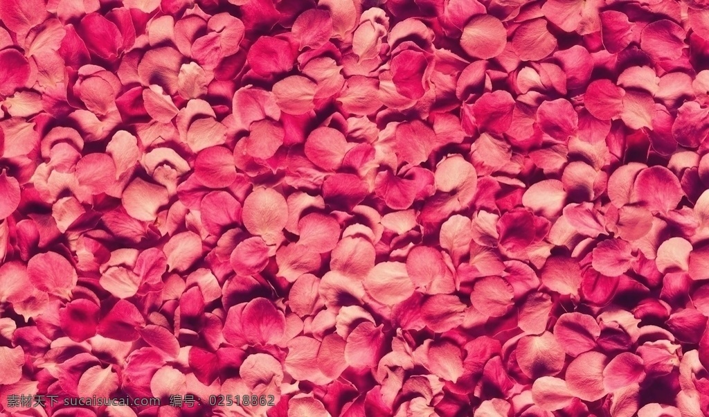 高清花瓣背景 玫瑰花花瓣 玫瑰花背景 花瓣高清图 花瓣素材图 艺术 花卉 花朵 花 底纹 底图 高清 唯美 简约 时尚 大气 玫瑰花 花瓣 红玫瑰 墙纸 壁画 墙布 壁纸 装饰画 无框壁画 背景 背景墙 艺术花卉背景 共享素材 底纹边框 背景底纹