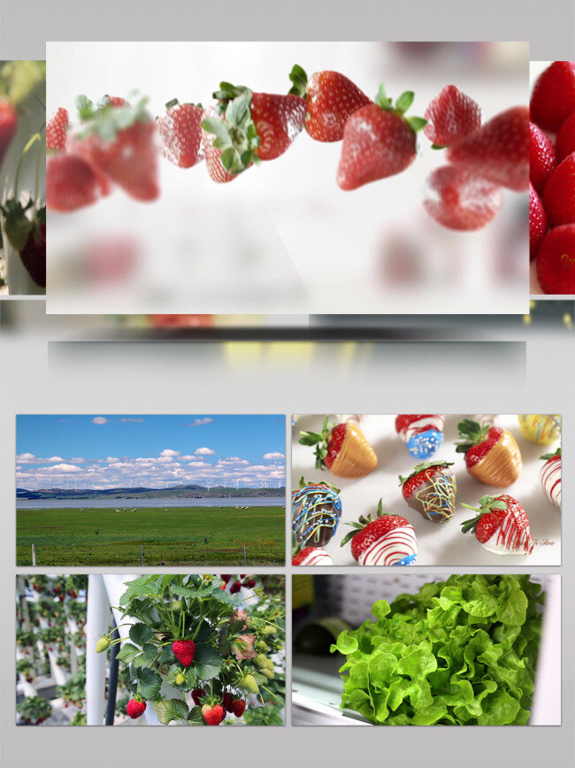 草莓 种植 宣传片 草莓展示 草莓种植 种植园 绿色植物 草原 草莓加工
