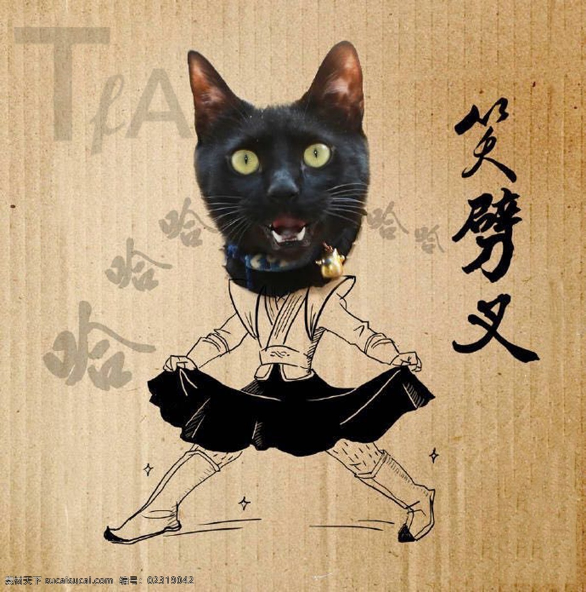 坦 复 安 搞笑 猫咪 坦复安 笑劈叉
