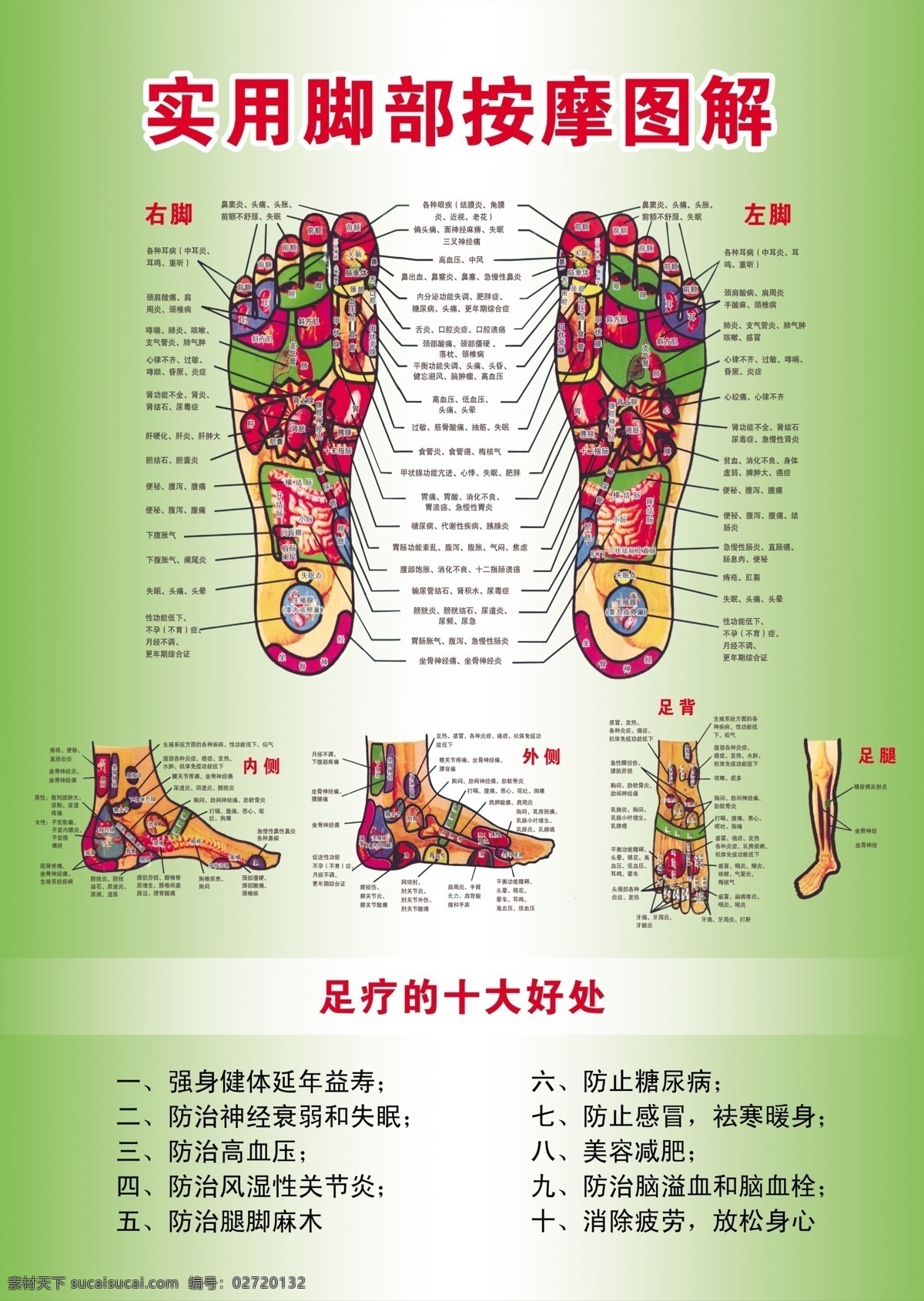 实用 脚部 按摩 图解 实用脚部 绿色 渐变 脚底 学位 经络 海报 足疗