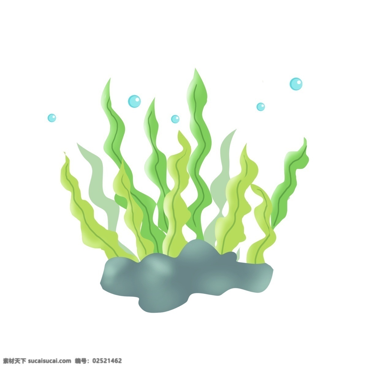 手绘 海洋生物 海带 海洋生物海带 海底世界 海葵 珊瑚 动植物类 生物世界 自然景观