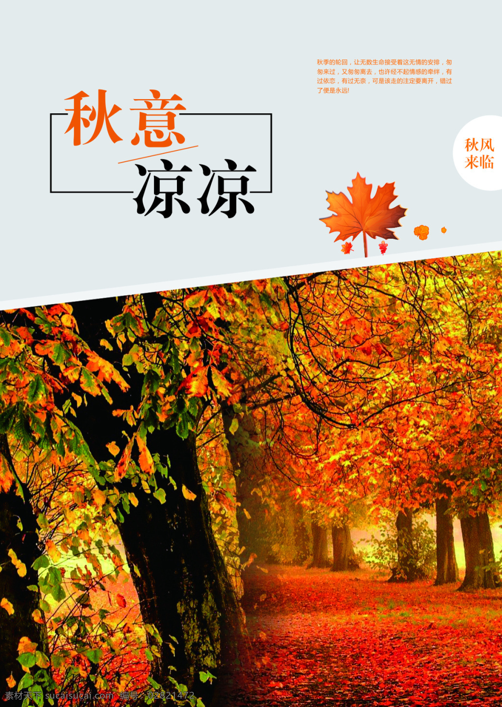秋意凉凉海报 秋天 唯美 简约 海报 背景