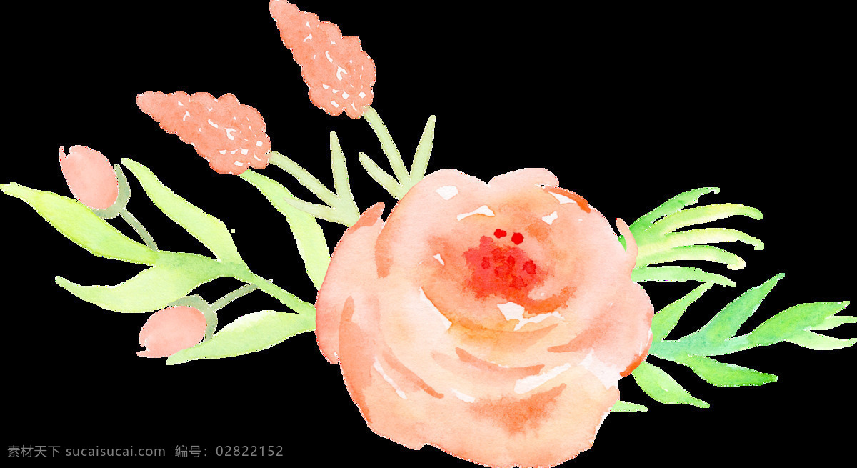 彩绘 清新 粉色 玫瑰 花朵 绿色 叶子 元素 png元素 免抠元素 透明元素