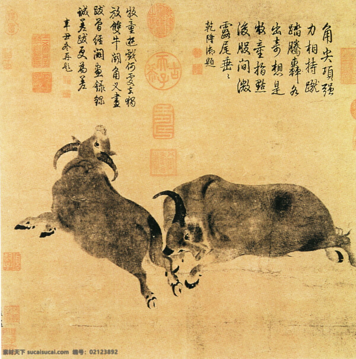 斗牛图 花鸟画 中国 古画 中国古画 设计素材 花鸟名画 古典藏画 书画美术 黄色