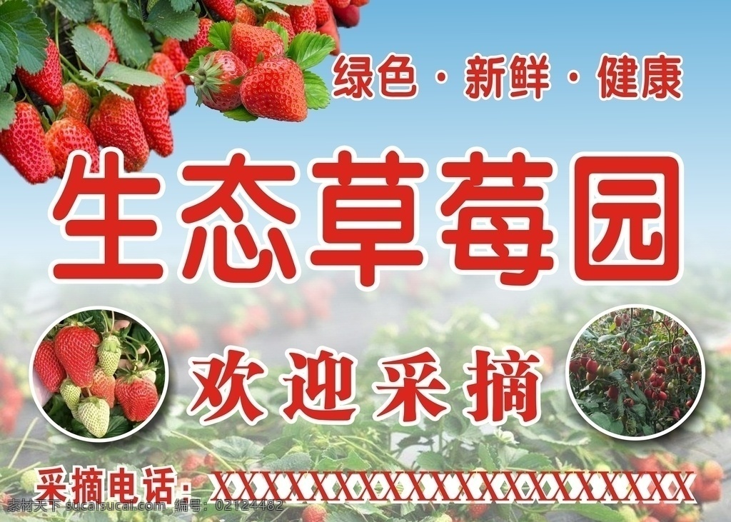 草莓园采摘 海报 单页 喷绘 写真 大字报 餐厅画 草莓采摘海报 草莓采摘宣传 草莓节海报 草莓采摘 草莓采摘台卡 新鲜草莓促销 餐厅装饰画 清新 草莓采摘节 有机草莓 新鲜草莓 自采 草莓 草莓园 草莓采摘园 牛奶草莓 红草莓 美食海报设计 生活百科 餐饮美食