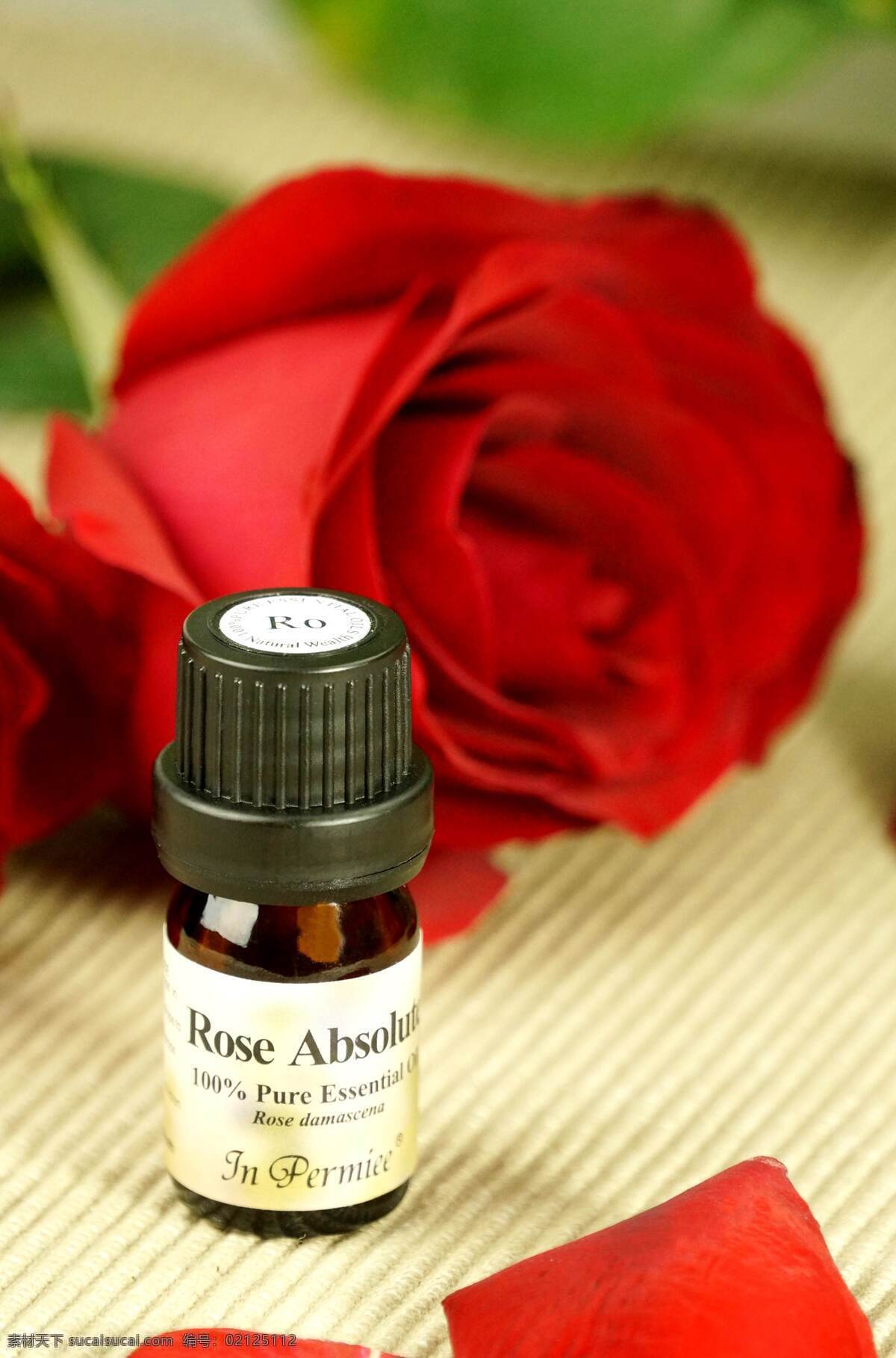 玫瑰 精油 红玫瑰 ro精油 精油瓶 花瓣 生活素材 生活百科