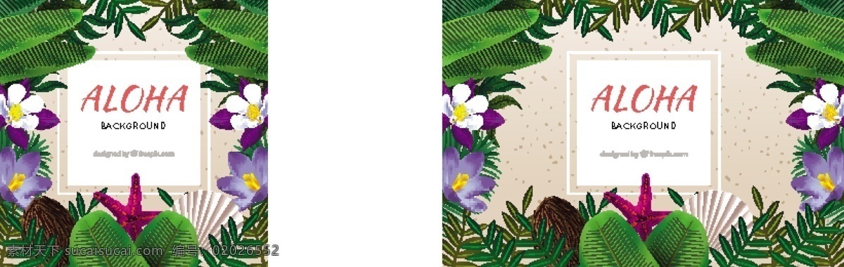 写实花卉背景 背景 花卉 明星 夏季 花卉背景 海洋 树叶 五颜六色 热带 丰富多彩 夏威夷 季节 热带花卉 背景色 背景花