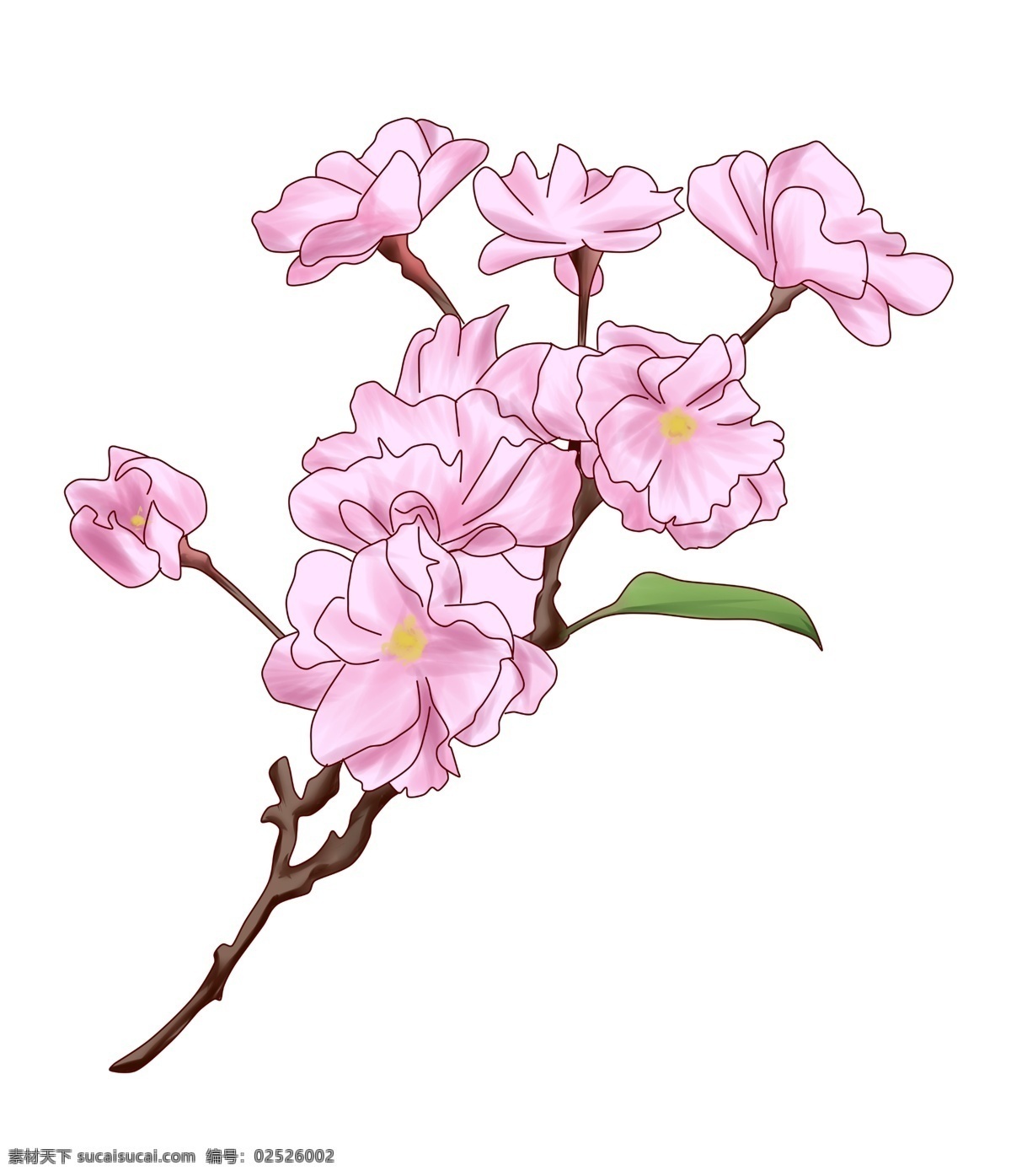 浪漫 粉红色 樱花 浪漫的樱花 粉红色的樱花 花朵 花瓣 花枝 树枝 春天 植物 绿色树叶 樱花树