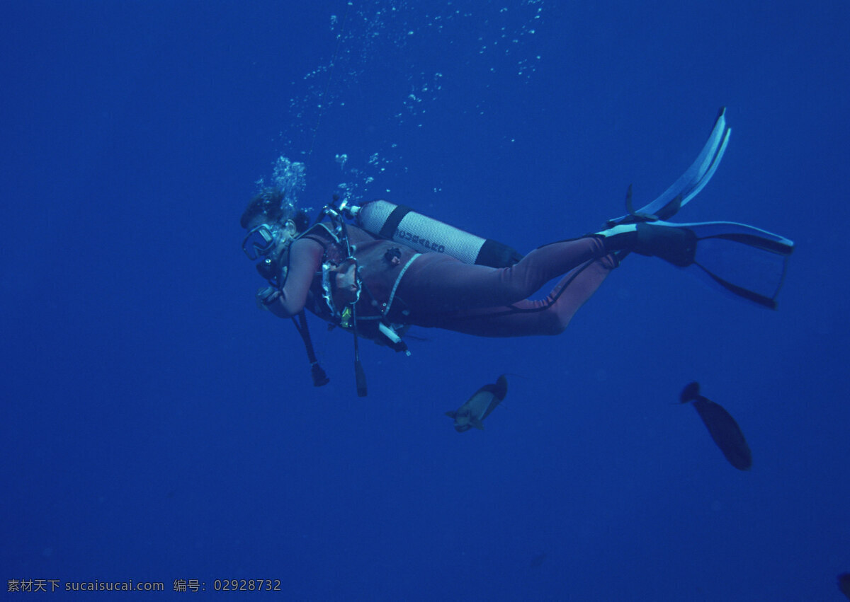 潜水 鱼 海底 大海 珊瑚 蓝色 透光 酷图 广告摄影 生物世界 海洋生物 摄影图库