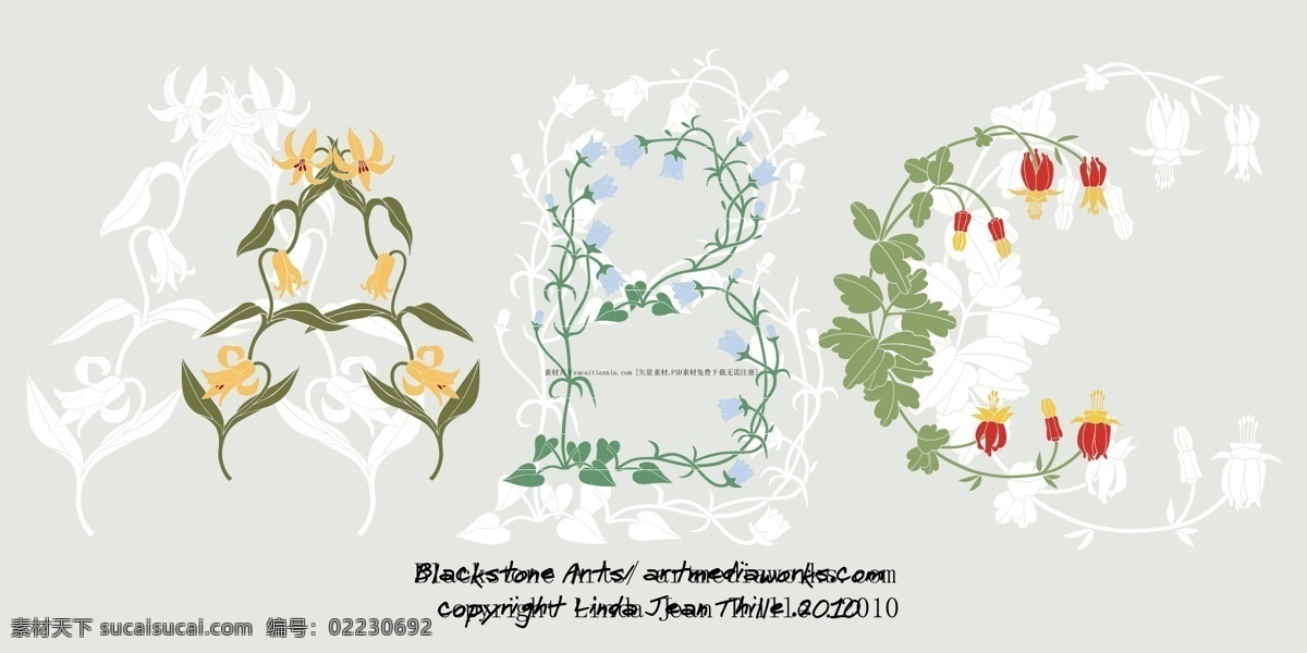 欧美 艺术 花纹 花纹矢量图 欧美艺术 灯笼花 清雅花纹 矢量图 花纹abc 花纹花边