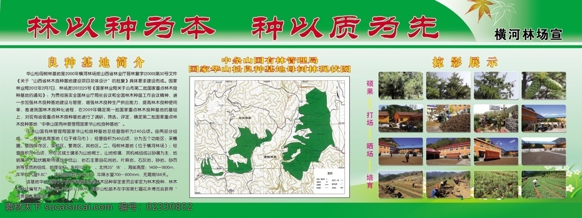 林场版面 林场 规划图 树木 林以种为本 展板模板 广告设计模板 源文件